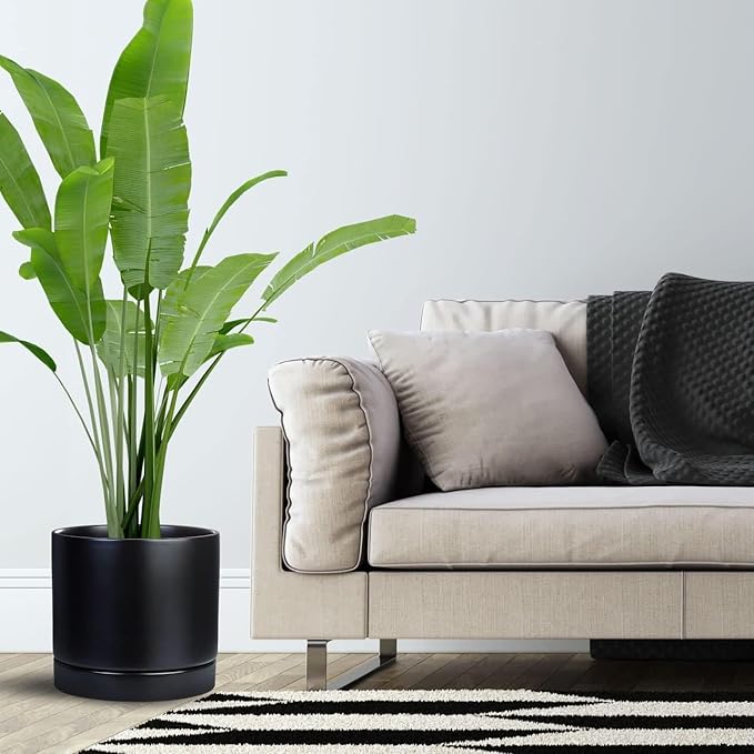 2 Pack Ceramic Plant Saucer Pot Tray 8 Inch, Planter Saucers 4 5 6 7 8 9 10 11 12 13 Inch for Indoors Outdoor, Durable Sturdy Flower Drainage drip Water Tray for Glazed Pots Base (8.5 Inch-Black)