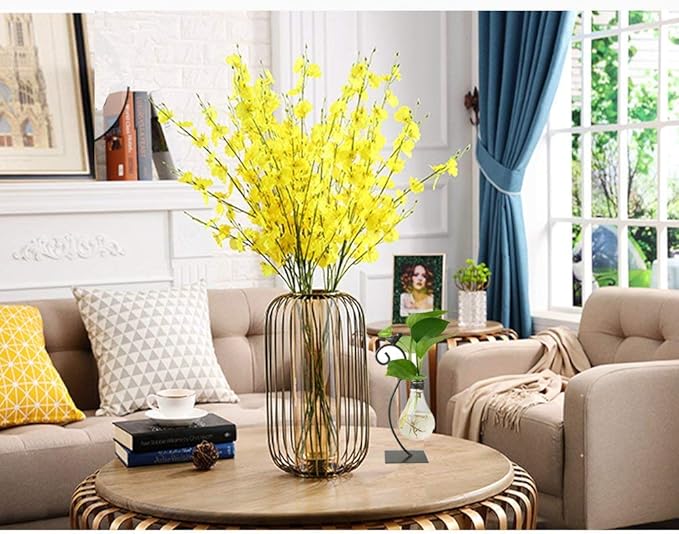 Marbrasse Desktop Glass Planter Hydroponics Vase,Planter Bulb Vase with Holder for Home Decoration,Modern Creative Bird Plant Terrarium Stand, Scindapsus Container (Bulb Vase)