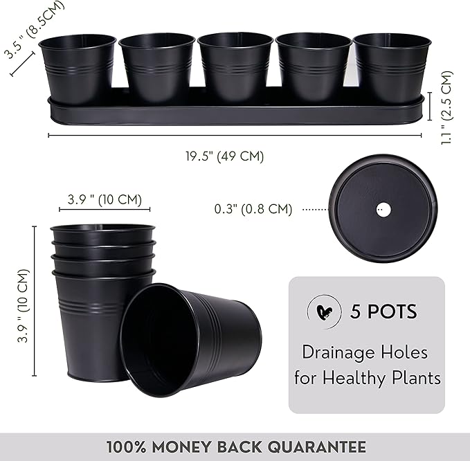 SCANDINORDICA Black Herb Planter – 5 Pots with Drainage Holes and Tray, Windowsill Planter, Herb Pots for Indoor Outdoor Plants | Kitchen & Garden Decor