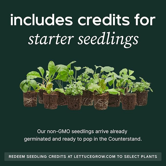 Counterstand Set – Vase Plant for Indoor Edible Garden Kit for Herbs & Lettuce – Small-Space Hydroponic System – Home Decor & Gifting – Without Live Plants