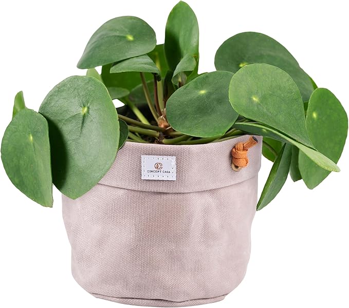 Large Waxed Canvas Handmade Hanging Planter for Indoor/Outdoor Plants, Hanging Basket Plant Holder Stone Gray