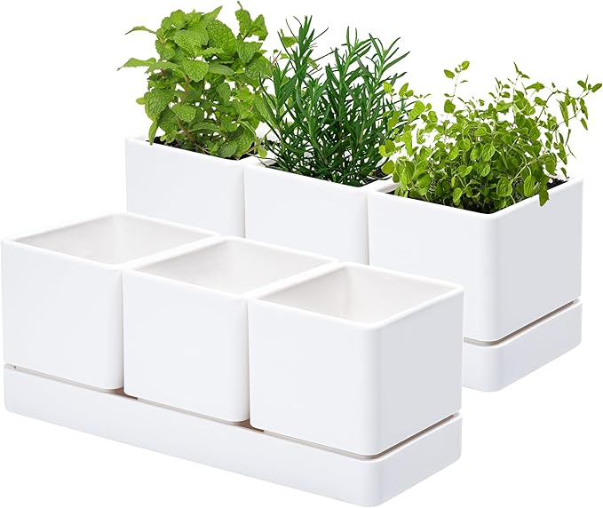 D'vine Dev Herb Garden Planter Set, Plastic Plant Pots with Drainage and Saucer, Indoor Succulent Cactus Vegetable Pot for Windowsill, Garden Balcony, White, Set of 2, 76-V-A-2