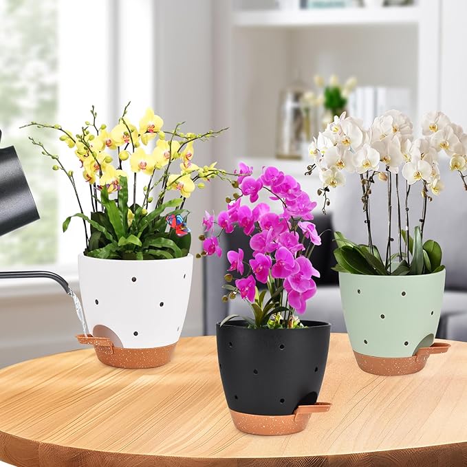6 Inch Orchid Pots with Holes, 3 Pack Self Watering Planters for Orchids Plastic Orchid Pot Plant Flower Pots for Orchids Indoor Outdoor (Multicolor)