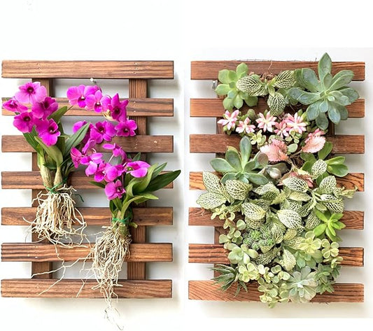 ShopLaLa Wall Planter - 2 Pack Wooden Orchid Planter Frame Display Outdoor Plants, Wall Mount Air Plants Succulent Holder Hanger, Vertical Garden Plant Wall Decor Macetas para Orquideas 15.7" (40cm)