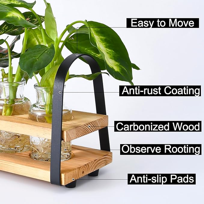 Plant Propagation Stations with Wood Stand, Desktop Plant Terrarium for Propagating Hydroponic, Flower Vase for Home Kitchen Office Decor, Plant Lover Gifts