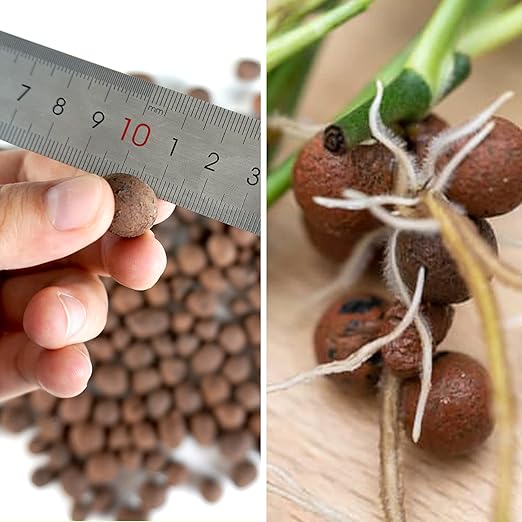 Leca Expanded Clay Pebbles 2LBS Grow Media for Indoor Plants Hydroponic Growing Gardening System Supplies …