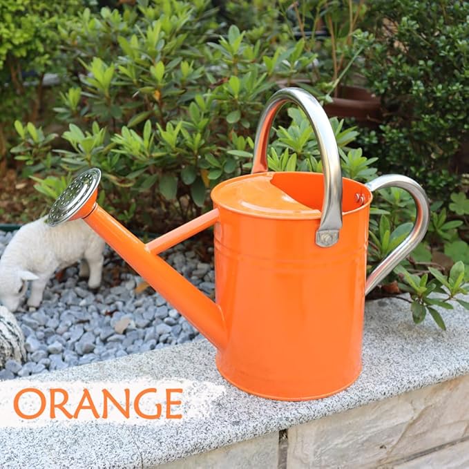 Metal Watering Can, One Gallon Watering Cans Stainless Steel for Outdoor Indoor Garden Plants Watering (Stainless Steel Handle Orange)