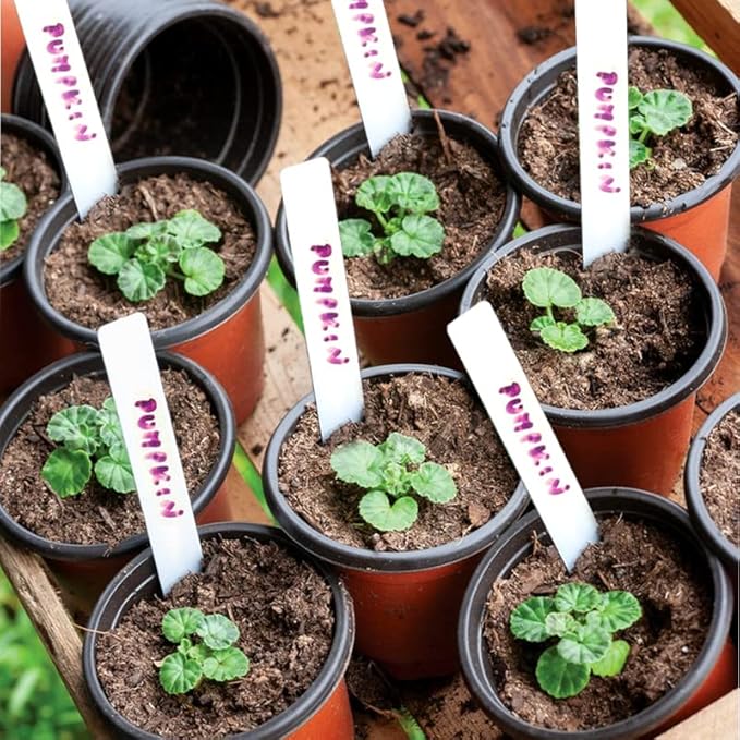 TDHDIKE 4" Small Plastic Plant Pots with 200 Red Seed Starting Pots for Indoor and Outdoor Planting