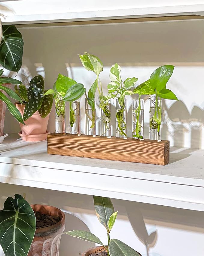 KAXYEW Plant Terrarium with Wooden Stand, Plant Propagation Tubes, 7 Test Tubes Glass Planter for Hydroponic Plant Cuttings Home Office Décor