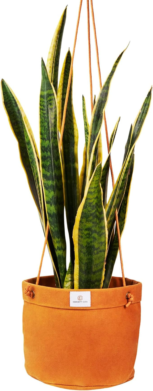 Large Waxed Canvas Handmade Hanging Planter for Indoor/Outdoor Plants, Hanging Basket Plant Holder Dijon Yellow