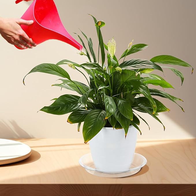 BORPEIN Plant Saucer (8,10,12inch, 18 Pack) Clear Plastic Plant Trays for Pots Indoors Outdoors,Thicker Flower Pot Saucers, Plant Plate to Catch Water