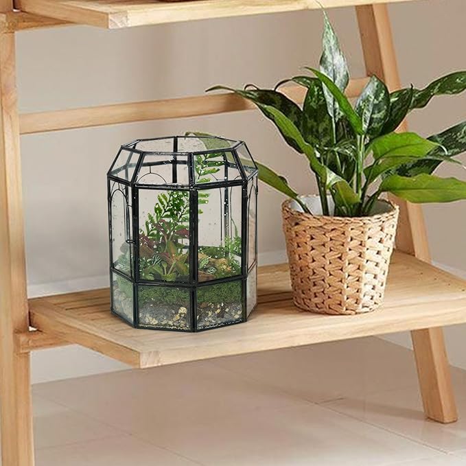 Ferrisland Glass Terrarium Plants with Lid, Black Geometric Terrarium Jar for Succulent Air Carnivorous Plant Moss Snail, Birdcage Shape Tabletop Greenhouse Indoor Decor DIY Presents (Only Terrarium)