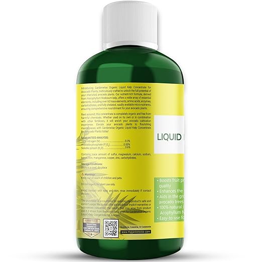 Organic Premium Kelp Seaweed Fertilizer - Liquid Plant Food - Nutrient-Rich Soil Enhancer - Improves Fruit Yield and Quality - Natural Plant Food for Avocado Tree (8 OZ)