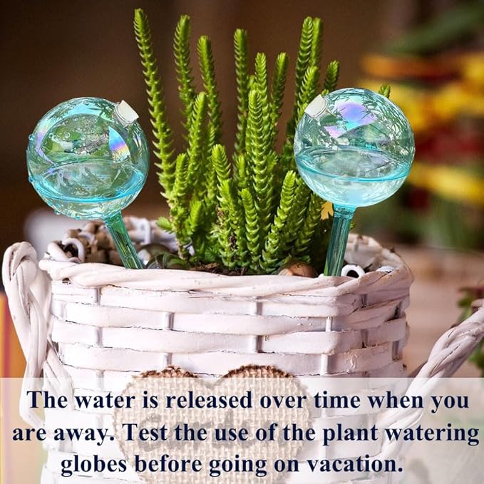 Self Watering Planter Insert, 4pcs Blown Glass Plant Watering Globes, Potting Self-Watering Bulbs Flower Automatic Watering Device Auto-Drippers for Plant Daily Self Watering