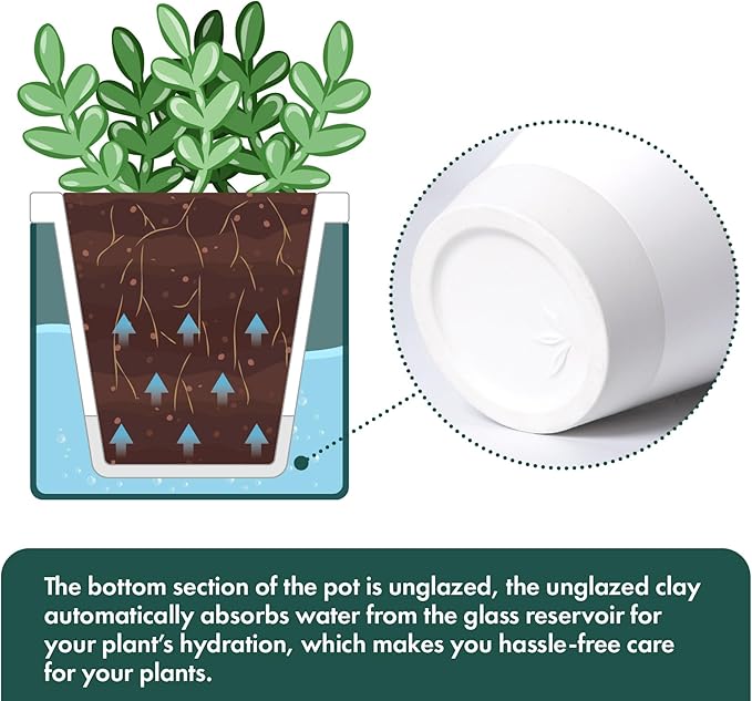 D'vine Dev 4 Inch Design Self Watering Planter for Indoor Plants, White Terracotta Pot with Teal Cylinder Glass Cup, Set of 2, 37-Y-A-5