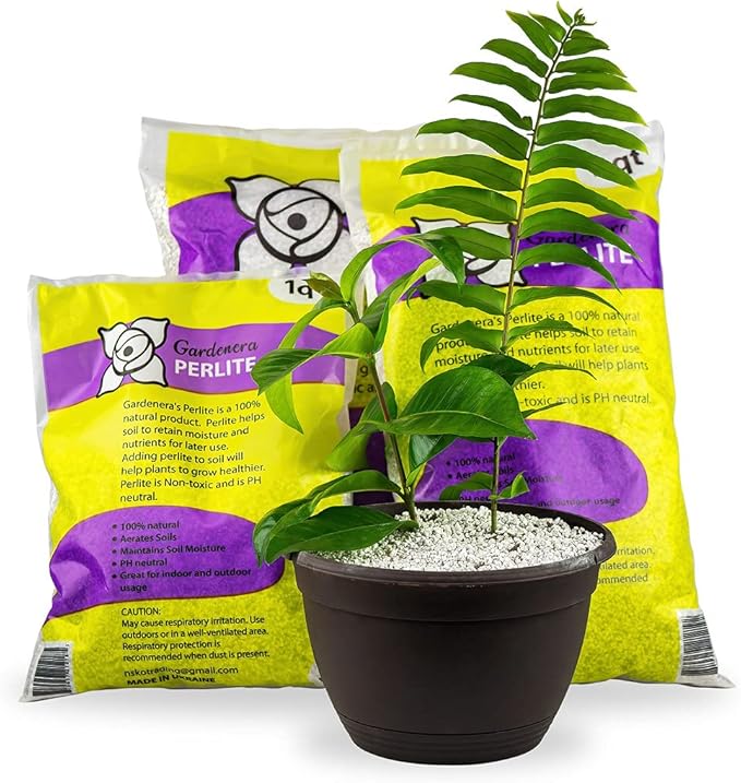 Organic Perlite - Medium/Fine Grade (1 Quart Bag) Horticultural Soil Amendment for Indoor & Outdoor Container Plants for Drainage Management and Enhanced Growth