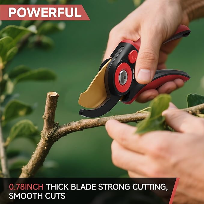 FLORA GUARD Bypass Pruning Shears 8.2" – Ultra Sharp SK5 Steel Blades with Titanium Coating, Ergonomic Rubber Handle Hand Pruners for 3/4" Branch Cutting, Garden Shears for Yard & Fruit Trees
