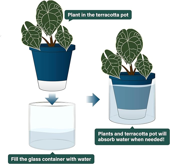 D'vine Dev 6 Inch Design Self Watering Planter for Indoor Plants, Blue Terracotta Pot with Cylinder Glass Cup, 37-X-B-4