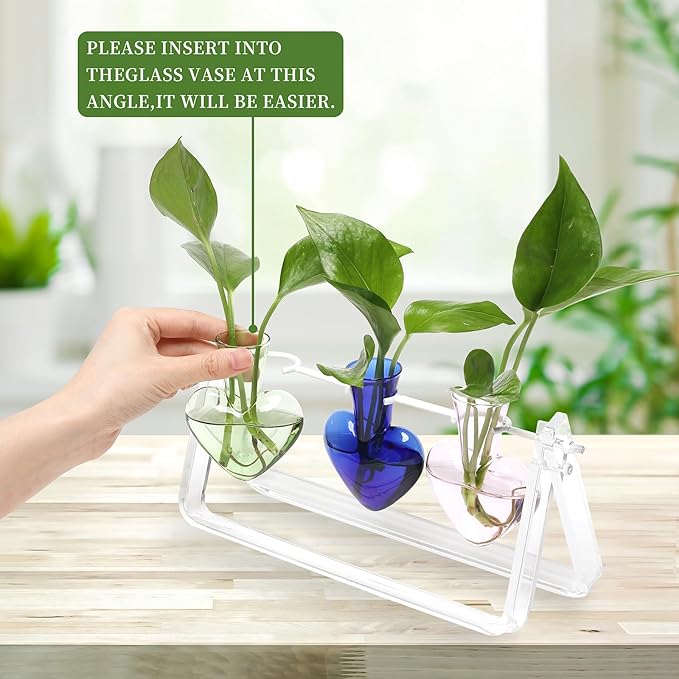 Plant Terrarium Propagation Stations with Acrylic Stand Birthday Gifts for Women Plant Stand Indoor Office Home Decor