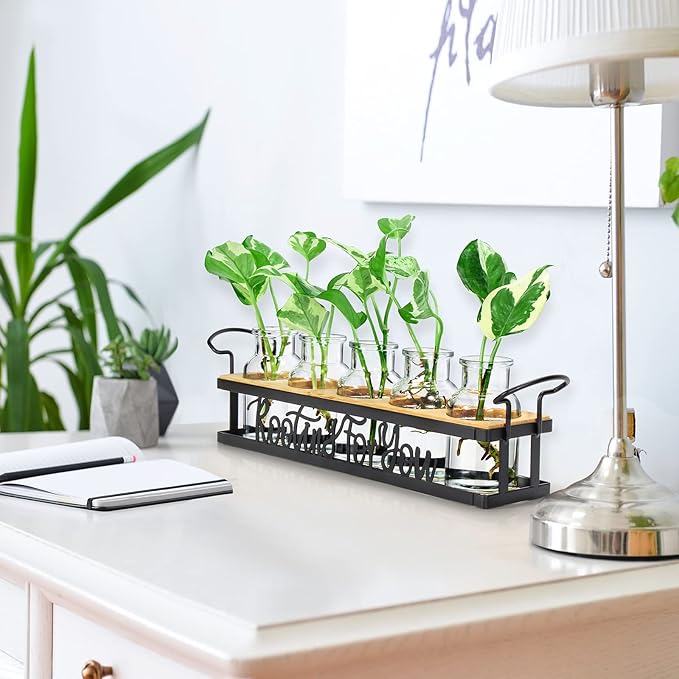 THYGIFTREE Plant Propagation Stations, Mothers Day Plant Lover Gifts for Mom Women Rooting for You Propagate Jars for Hydroponic Cuttings Propagating Vase