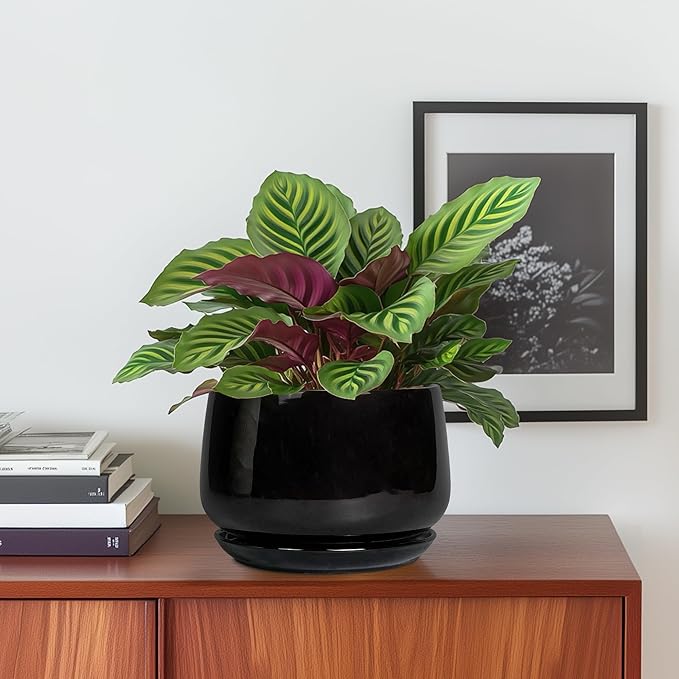 G EPGardening 6 Inch Planter - Ceramic Pot for Plants, Ceramic Planter with Drainage and Saucer, Round Flower Pot Indoor Outdoor, Modern Room Decor, Home Gifts, Black