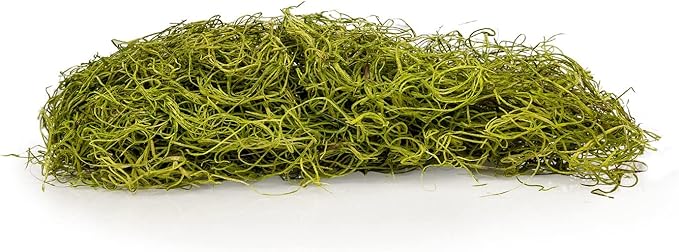 Premium Spanish Moss in Spring Green| Natural Preserved - Great Ground Cover - Filler for Potted Plants - by GARDENERA - 3 Quart Bag
