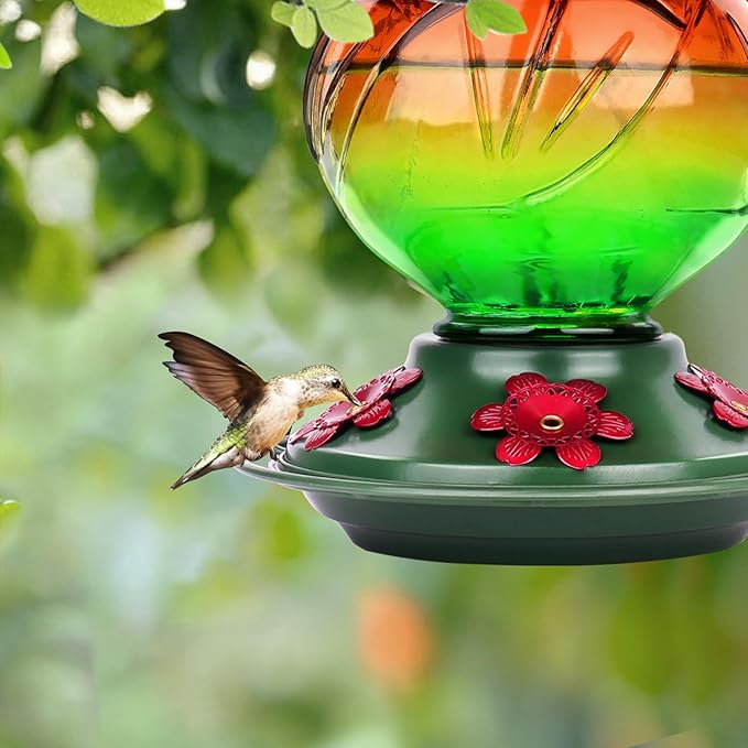 BOLITE Hummingbird Feeder, Glass Hummingbird Feeders for Outdoors Hanging, 22 Ounce, Five Feeding Ports with Perch, Peony Flower Shape, Orange and Green, Gifts for Women Men, Gifts for Mom Dad