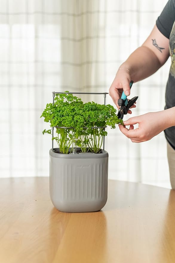 Vego garden Mini Planter Indoor Pots with Trellis Self-Watering Herb Countertop Planter for Climbing Vegetables Flowers Mint Plants Cage- Fog Gray