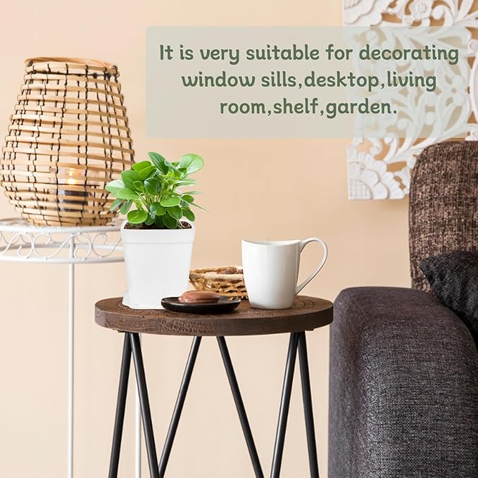 OJYUDD 72 Pcs 3 Inch White Square Plastic Pots with Saucer,White Plastic Plant Seedling Pots,Seedling Nursery Pots Indoor Outdoor for Succulents/Plant,Garden,Office and Balcony Decor