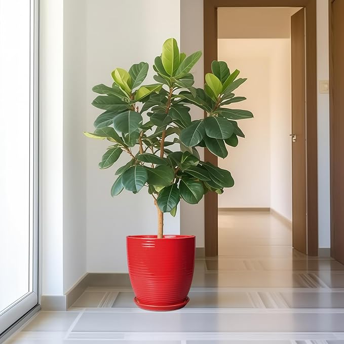 Ceramic Pot for Plants 12 Inch - Plant Pot Indoor with Drainage Hole and Saucer Round Large Planter for Outdoor Plants Mid Century Modern Flower Pot for Home Decor Red