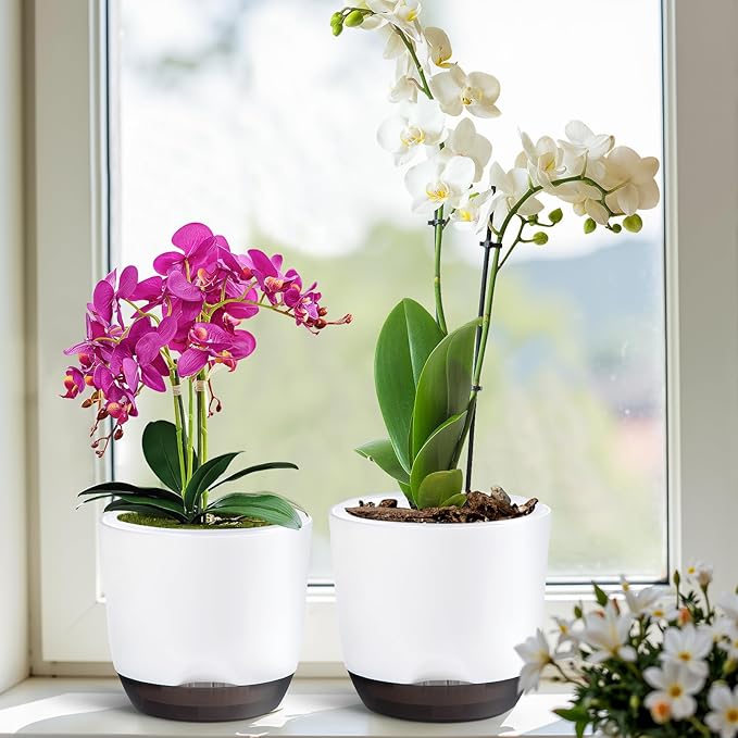 QCQHDU 2 Pack Orchid Pots with Holes for Repotting, Double-Layer and Self Watering Orchid Pot with Good Air Circulation