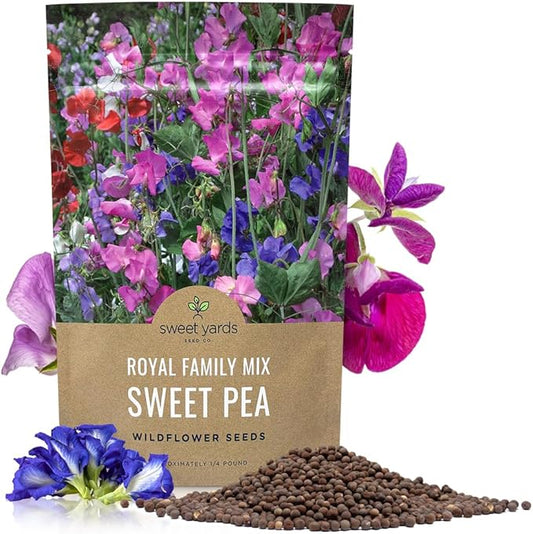 Sweet Pea Seeds Royal Mix - Bulk 1/4 Pound Bag - Over 1,400 Seeds - Large Fragrant Lavender, Purple, Red, Pink and White Blooms