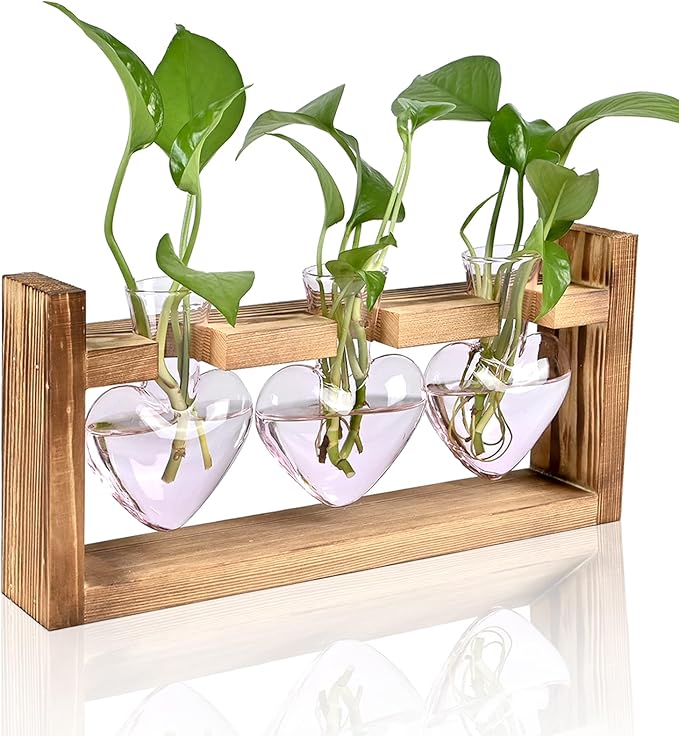 Plant Terrarium Propagation Stations Hydroponics Home Garden Decoration Gift for Women with Wooden Stand Heart Shaped Colored Glass Vase
