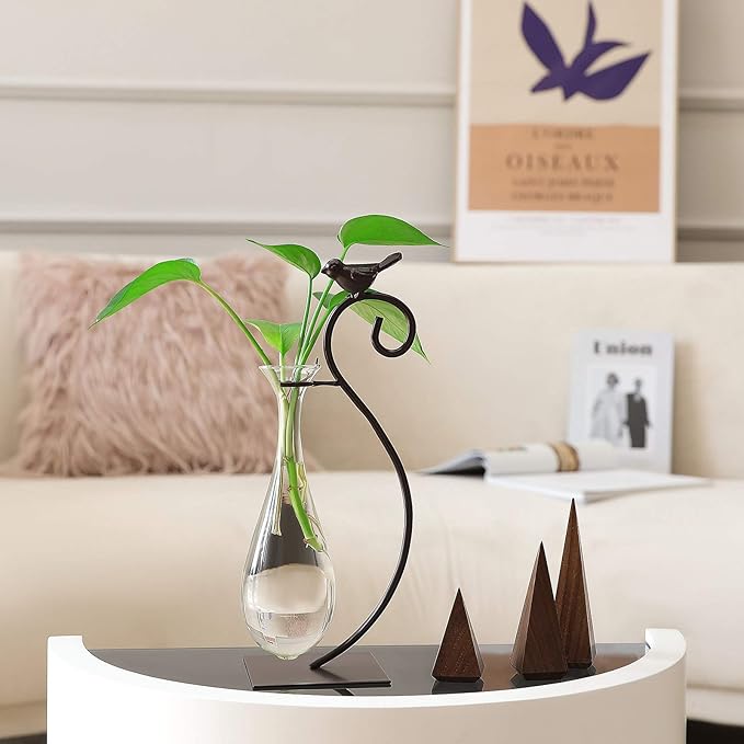 Marbrasse Desktop Glass Planter Hydroponics Vase,Planter Bulb Vase with Holder for Home Decoration,Modern Creative Bird Plant Terrarium Stand, Scindapsus Container (Water Drop Vase)