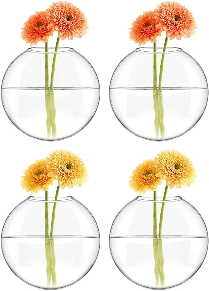 Mkono Wall Hanging Planter Propagation Station Glass Flower Vase for Hydroponics Plants, Bathroom, Home Office Living Room Decor Gift, Oblate Set of 4