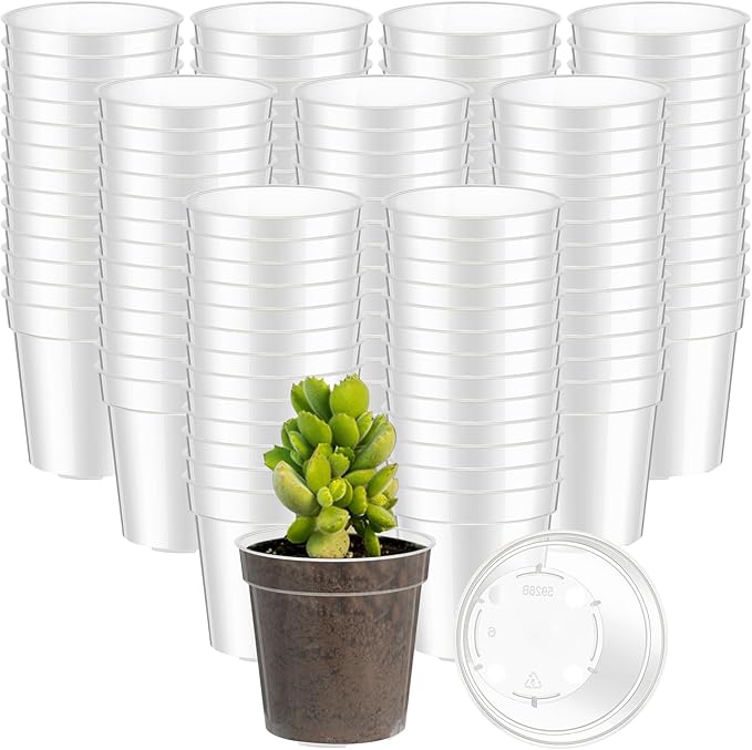 Yaomiao 200 Pcs 2 Inch Clear Mini Plastic Plant Pot Nursery Seedling Pots Seed Starter with Drainage Holes for Indoor Outdoor Garden Succulent Plants Cuttings Transplanting
