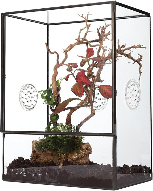 NCYP Glass Terrarium with Front Opening Door and 3 Vents for Insects, Snail, Spider, Glass Enclosure - 8"x4.5"x10" Clear Closed Plant Greenhouse Box (Terrarium Only)