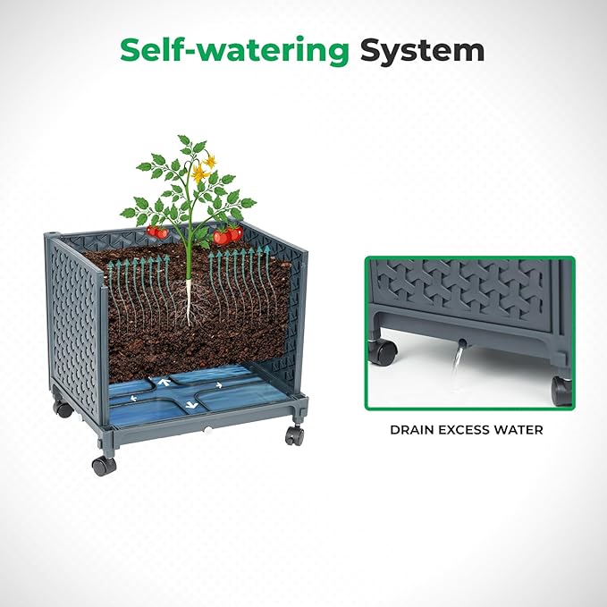 Raised Garden Bed with Tomato Planter Cage, 67.6" Trellis Planter Boxes with Wheels for Outdoor Patio Greenhouse Gardening Climbing Vegetables