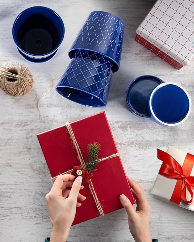 EFISPSS Ceramic Plant Pots, 5Inch Pots for Indoor Plants, Planters with Drainage Holes and Ceramic Tray,Plant Lover Gift, Desktop Office Windowsill Decoration Gift Set of 4 - Blue