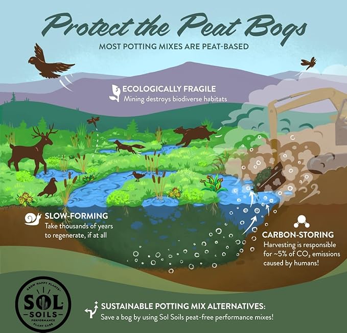 Sol Soils Succulent Gritty Mix 2 Quarts - Fast Draining Peat Moss Free Succulent Soil Potting Mix with Coconut Husk Chips, Perlite & Pumice