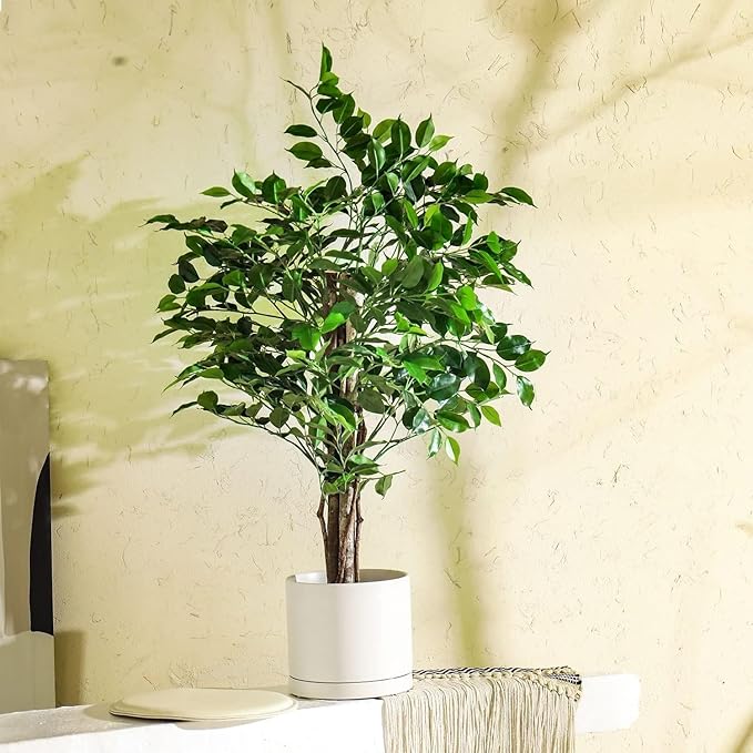 2 Pack Ceramic Plant Saucer Pot Tray 6 Inch, Planter Saucers 4 5 6 7 8 9 10 11 12 13 Inch for Indoors Outdoor, Durable Sturdy Flower Drainage drip Water Tray for Glazed Pots Base (6.4 Inch-White)