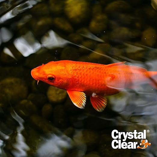 CrystalClear Algae D-Solv Pond Algae Control, Fast-Acting EPA Registered Algaecide, Use in Fountains & Outdoor Ponds Containing Koi & Other Fish, Treats 115,200 Gallons, 2.5 Gallons