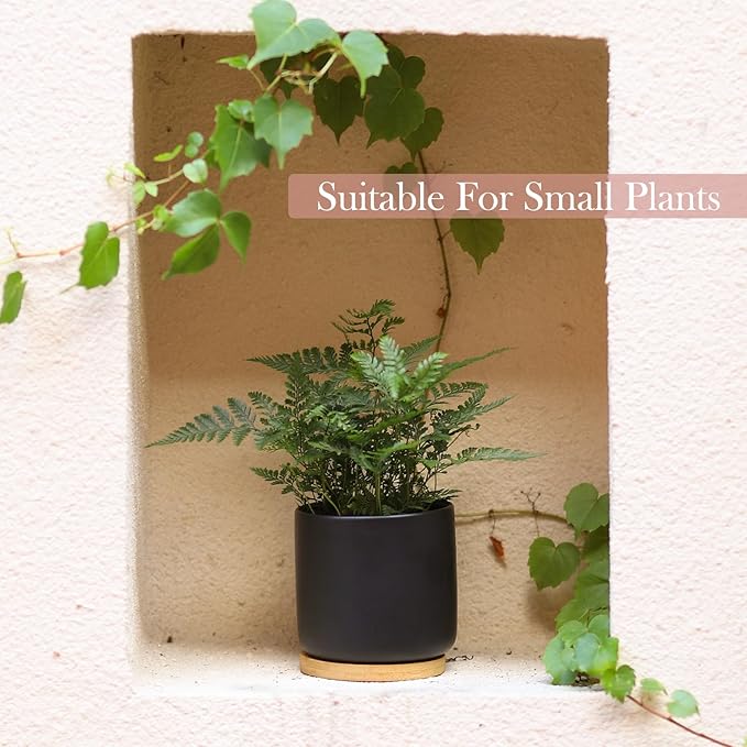 OMAYKEY 4 Inch Ceramic Plant Pot with Saucer, Black Planters Pots with Drainage Hole and Mesh Pads for Succulent, Snake, Cactus, Herbs - 4 Packs(Plant Not Included)