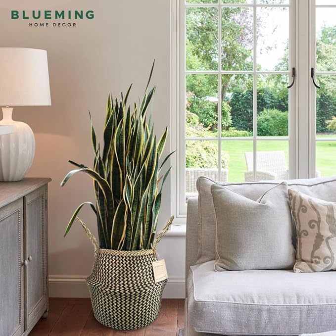 Plant Baskets – Large Seagrass Pot for Tall Indoor Faux Olive Tree, Woven Wicker Rattan Planter for Boho Basket 9-10 Inch (Black, Large)