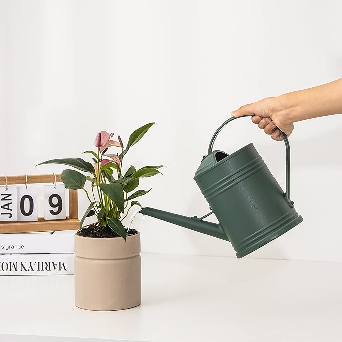 Plastic Indoor Watering Can with Sprinkler Head - 68 oz, 1/2 Gallon