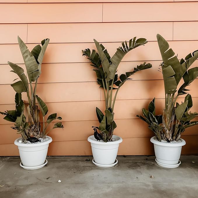 NUOBESTY 4pcs Metal Quail Garden Decorative Statues Standing Metal Quail Lawn Sculptures Ornaments Metal Quail Art Sculptures for Yard Garden Lawn Decor Animal Outdoor Decorations