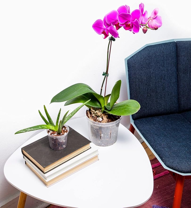 rePotme 5 inch Orchid Pot 3 Pack - Slotted Orchid Pots with Holes for Repotting (Crystal Clear)