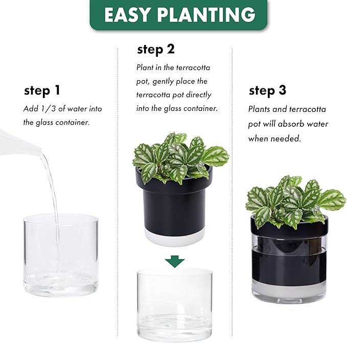 Phoenix Vine 6 Inch Self Watering Terracotta Planter, Black Terracotta Clay Pot with Glass Reservoir for Indoor Plants, Herbs, Flowers, Set of 1, 52-C-F-1