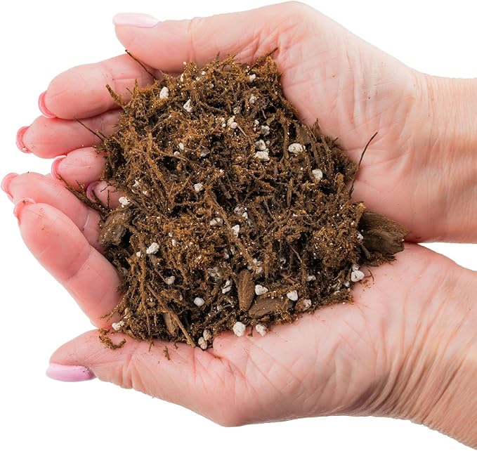 Premium Gardenera House Plant Potting Mix | Fern + New Zealand Bark + Perlite | Great for Pothos, Spider Plants, Montsera, Philodendron, English Ivy - 4 Quart Bag