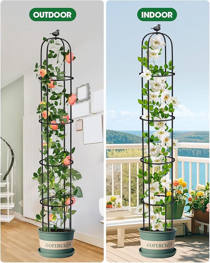 Garden Obelisk Trellis for Climbing Plants Outdoor 6.2 Ft Rose Bush Round Trellis for Pots Rustproof Metal Plant Flower Trellises for Clematis Vine Jasmine Support Outdoor Indoor (Black, 6.2ft)